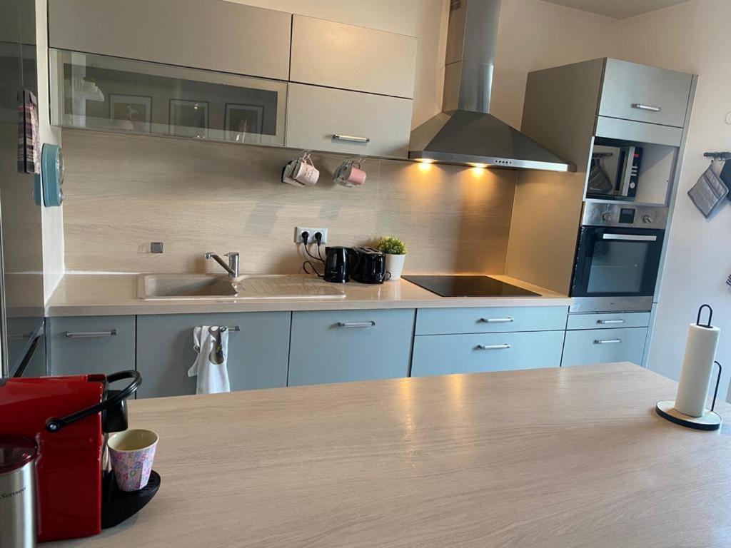 Appartement 80M2, Terrasse Sud, Metro 7 Direction Louvre A 8Minutes, Parking Sous-Sol, Proche Paris-Bercy 이브리쉬르센 외부 사진